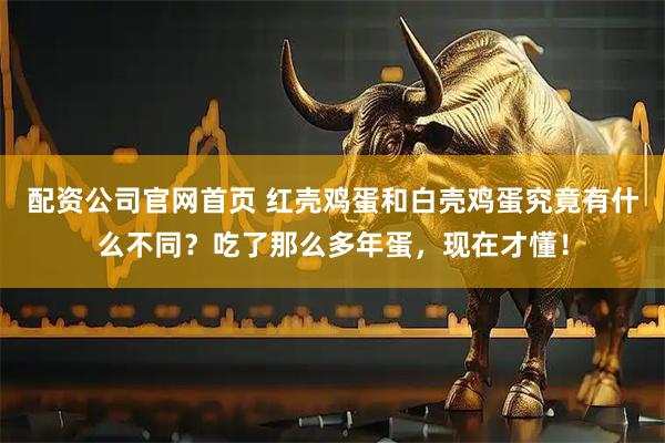 配资公司官网首页 红壳鸡蛋和白壳鸡蛋究竟有什么不同？吃了那么多年蛋，现在才懂！